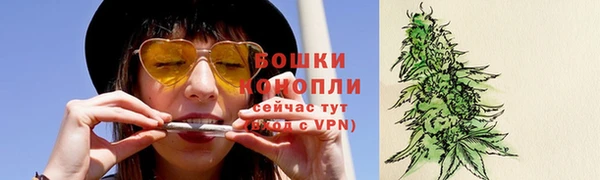 ПСИЛОЦИБИНОВЫЕ ГРИБЫ Балабаново