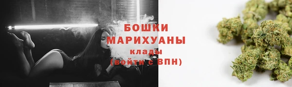 шишки Баксан