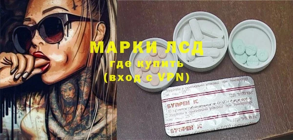шишки Баксан