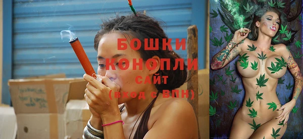шишки Баксан