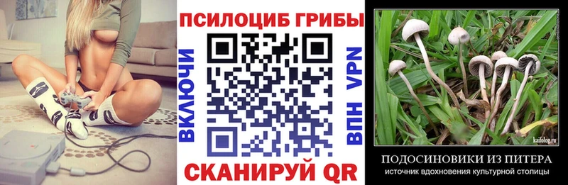 Псилоцибиновые грибы Psilocybine cubensis blacksprut рабочий сайт Волгореченск наркотики